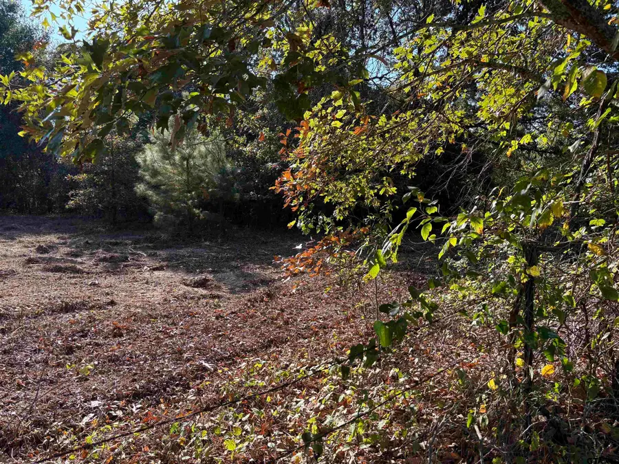 TBD FM 607, Brownsboro, TX 75756 - #3