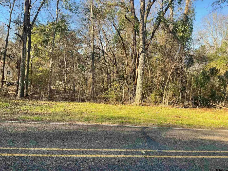 FM 838, Overton, TX 75684 - #3