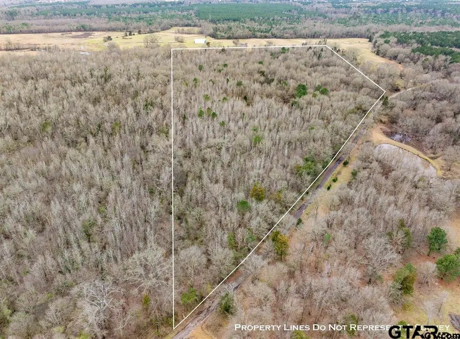 TBD 24+ acre CR 3324, Pittsburg, TX 75686 - #2