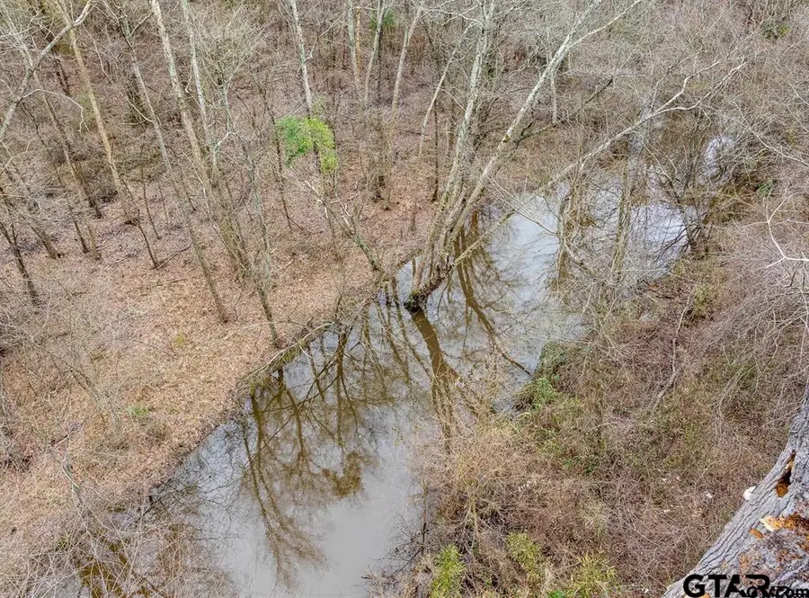 TBD 24+ acre CR 3324, Pittsburg, TX 75686 - #3