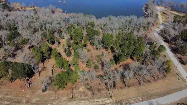 3176 Shadow Pine Dr, LaRue, TX 75770