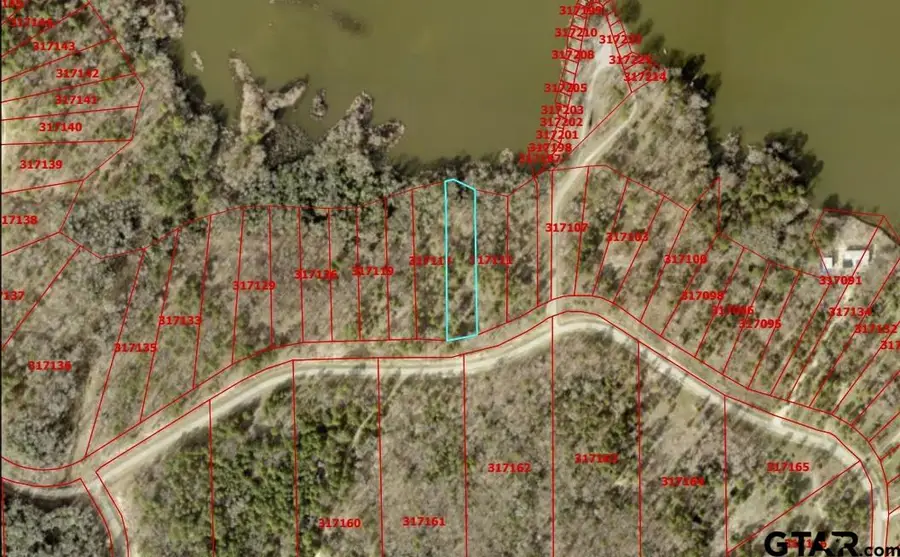 3176 Shadow Pine Dr, Larue, TX 75770 - Image #2