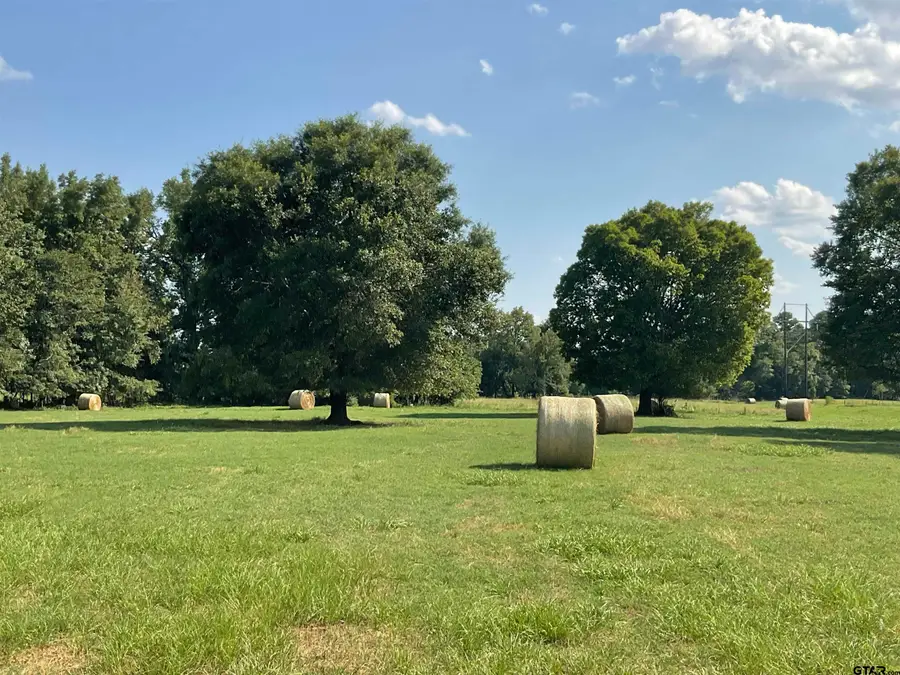 265 FM 2137, Bullard, TX 75757 - #2