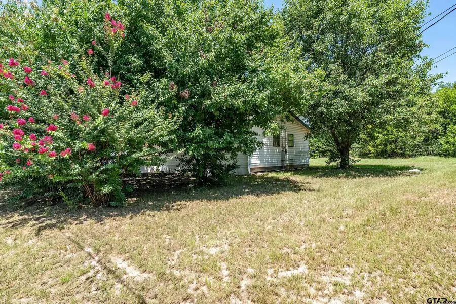 309 McDaniel, Mineola, TX 75773 - #3