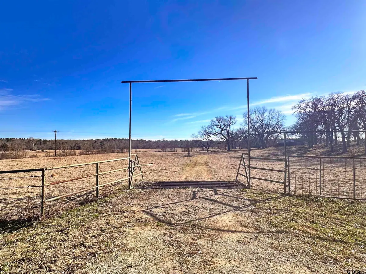 0 CR 4336, Larue, TX 75770 - #1