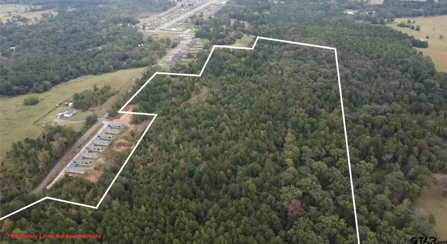 TBD Mt Pleasant Cutoff, Hallsville, TX 75650 - #2