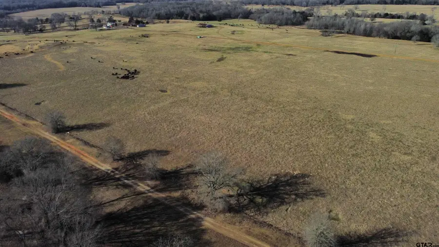 TBD FM 317, Murchison, TX 75778 - #2