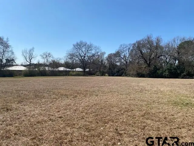 TBD Laurel Road, Athens, TX 75751 - #2