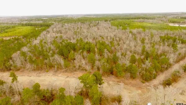 TBD Cr 2307 Beasley Rd, Lone Star,  75668