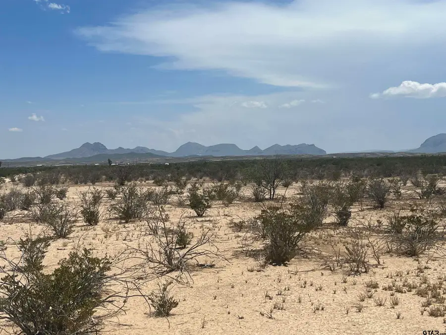 15208 N Lowery Key Rd, Terlingua, TX 79852 - #2