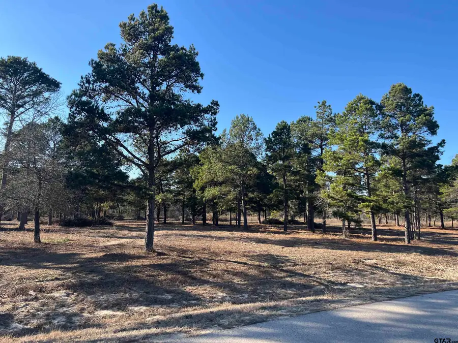 3135 Shadow Pine Drive, Larue, TX 75770 - #3