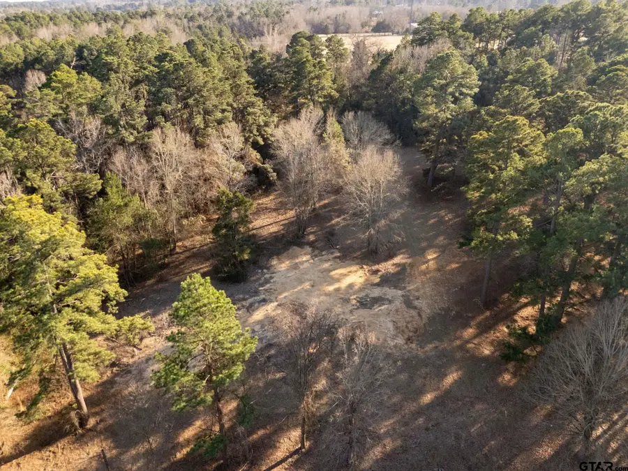 TBD Surrey Trail, Tyler, TX 75705 - #2