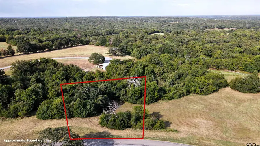 Lot 255 Overlook Point, Athens, TX 75752 - #2