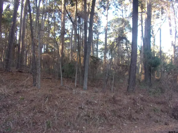 tbd Lake Side Drive, Flint, TX 75762