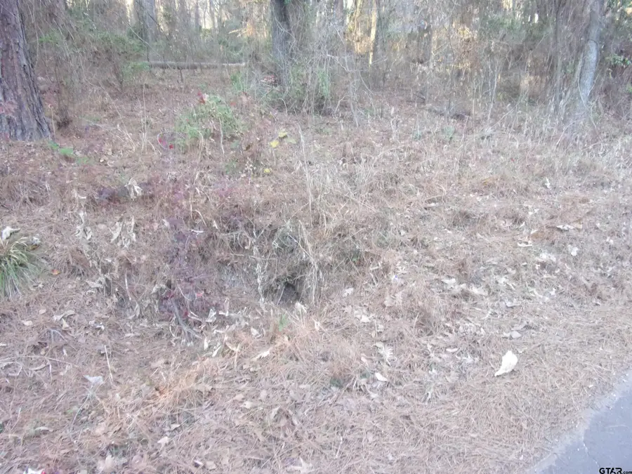tbd Lake Side Drive, Flint, TX 75762 - #3