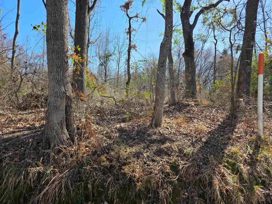 000 County Road 1418, Quitman, TX 75783 - #2