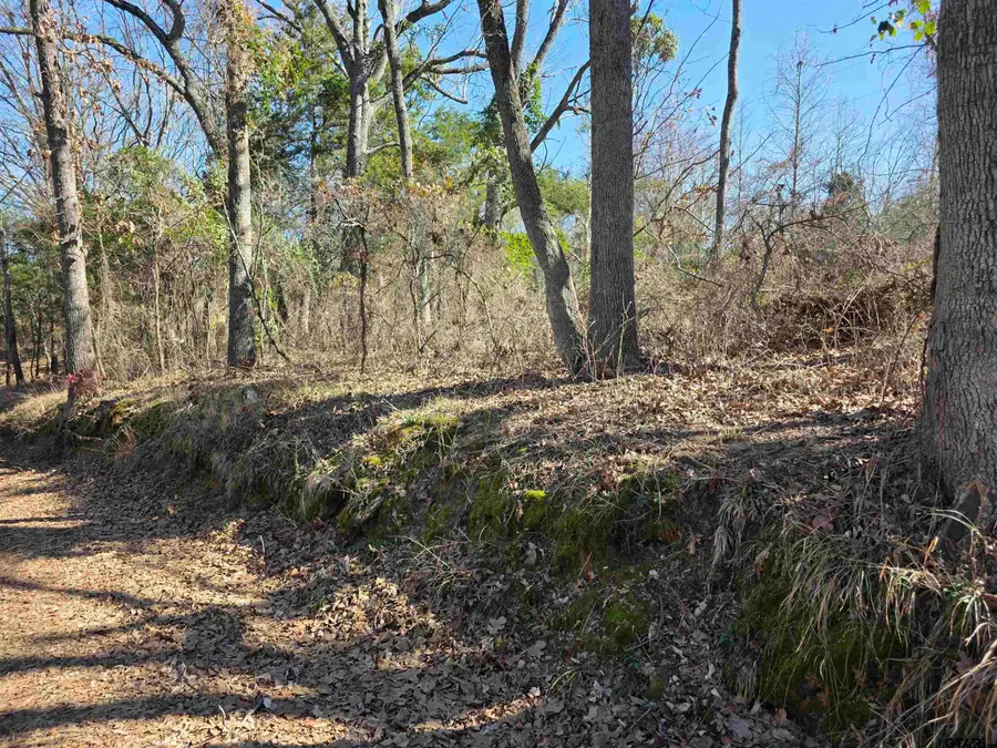 000 County Road 1418, Quitman, TX 75783 - #3