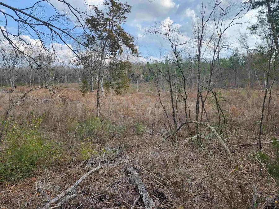 TBD CR 2312, Pittsburg, TX 75686 - #2