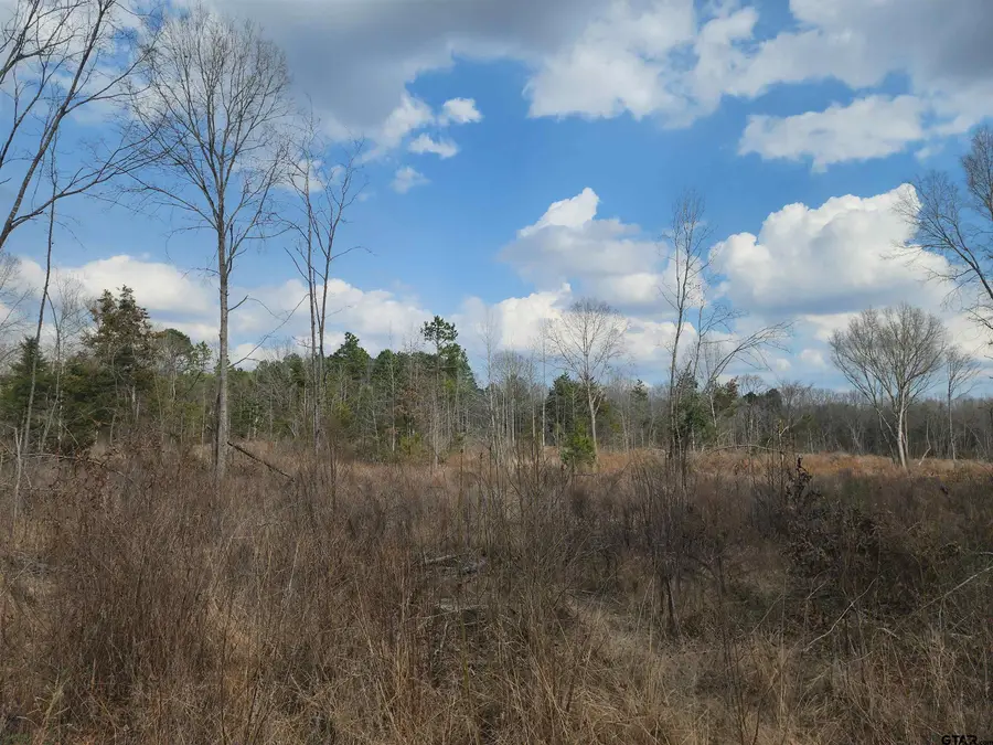 TBD CR 2312, Pittsburg, TX 75686 - #3