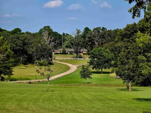 7991 FM 314, Ben Wheeler, TX 75754