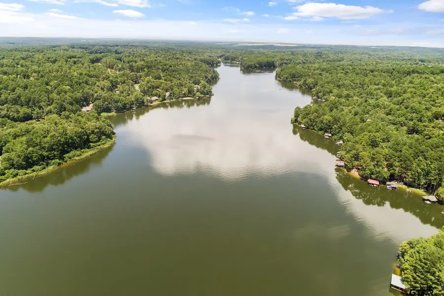 130 Pueblo Path, Holly Lake Ranch, TX 75765 - #3