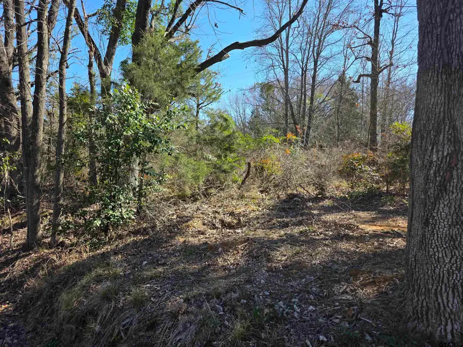 0000 County Road 1420, Quitman, TX 75783 - #2