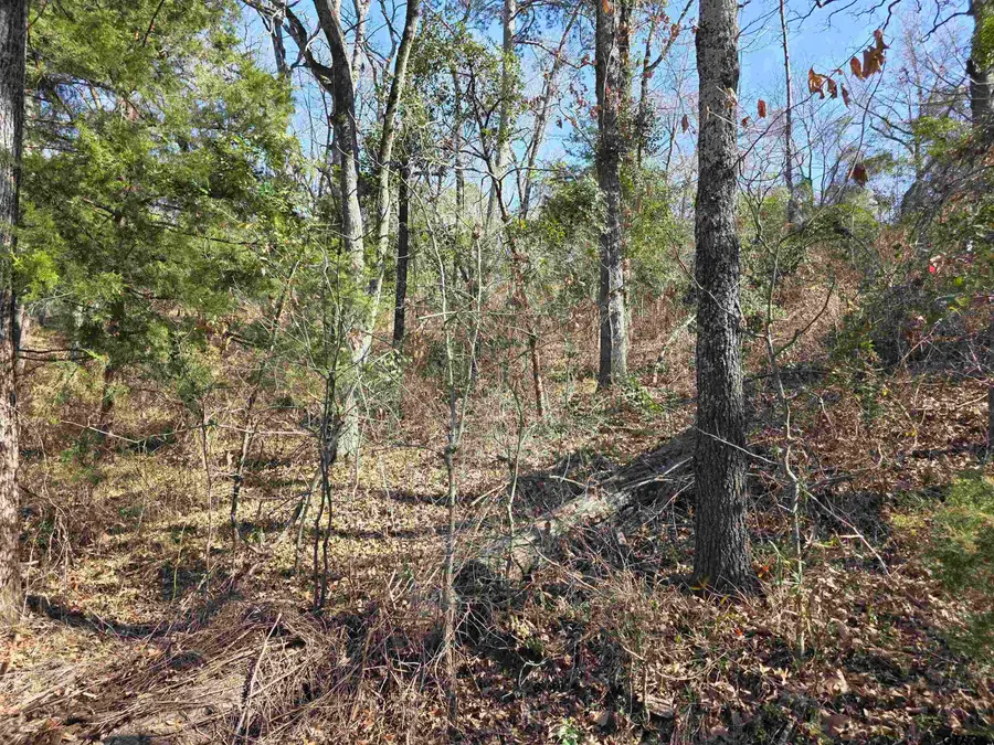 0000 County Road 1420, Quitman, TX 75783 - #3