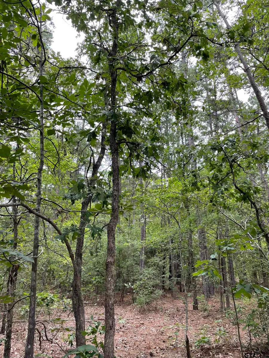 TBD 9.91 Acres PR 6662, Mineola, TX 75773 - #3