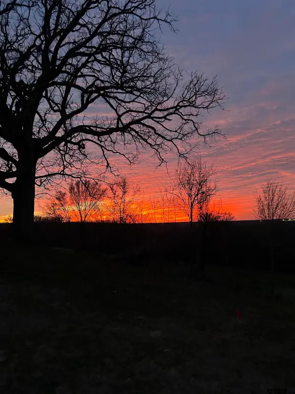 Address Withheld By Seller, Athens, TX 75752