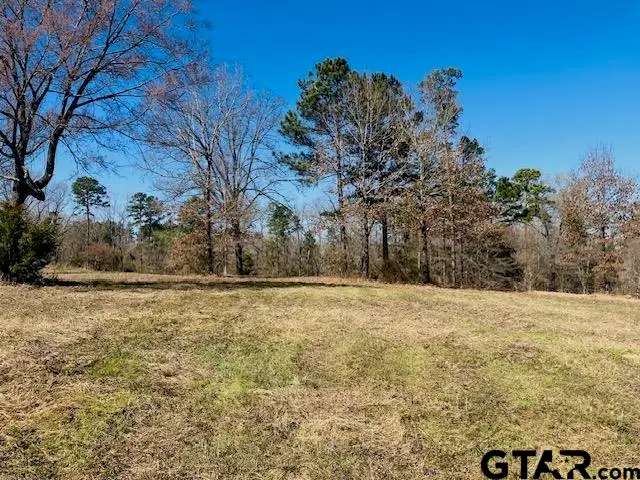 TBD Ridgeline Loop Lot 92, Winona, TX 75792 - #1