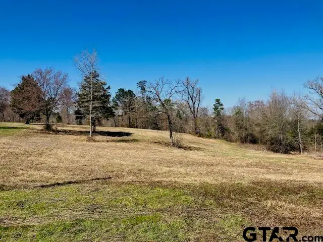 TBD Ridgeline Loop Lot 92, Winona, TX 75792 - #2