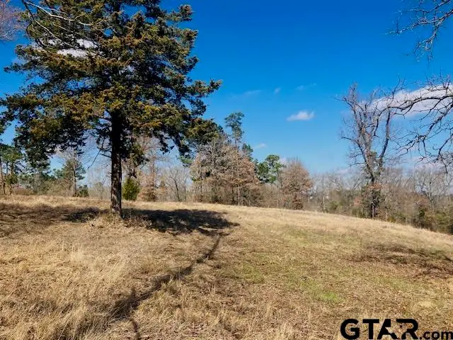 TBD Ridgeline Loop Lot 92, Winona, TX 75792 - #3