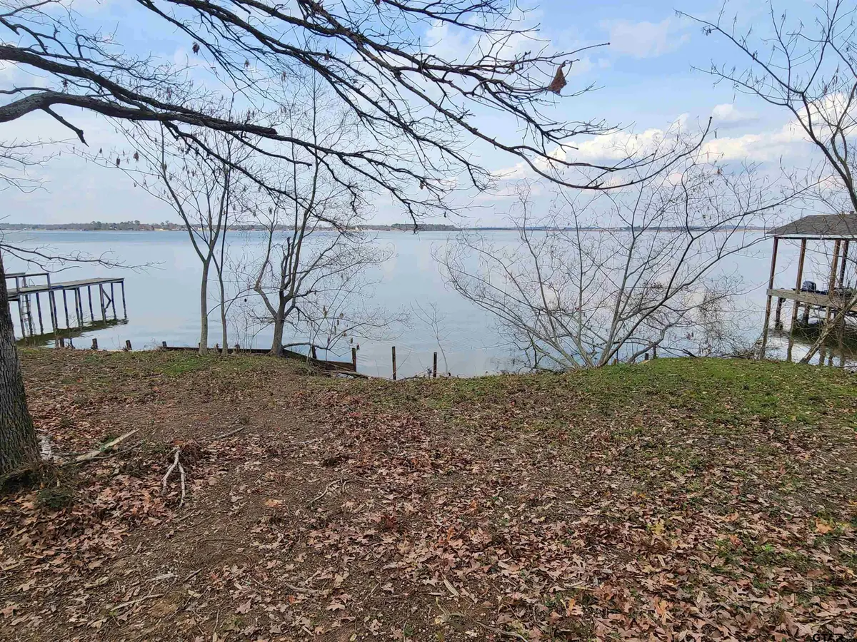 TBD CR 2610, Pittsburg, TX 75686 - #1