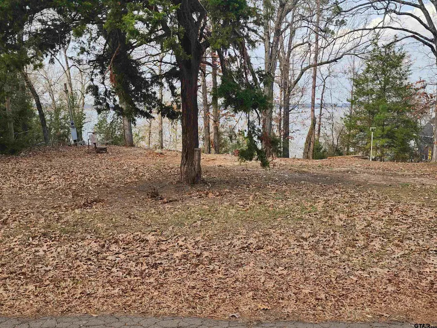 TBD CR 2610, Pittsburg, TX 75686 - #2