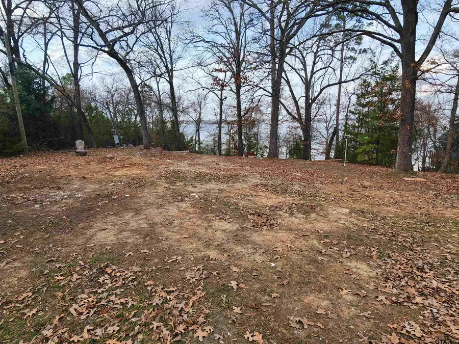 TBD CR 2610, Pittsburg, TX 75686 - #3