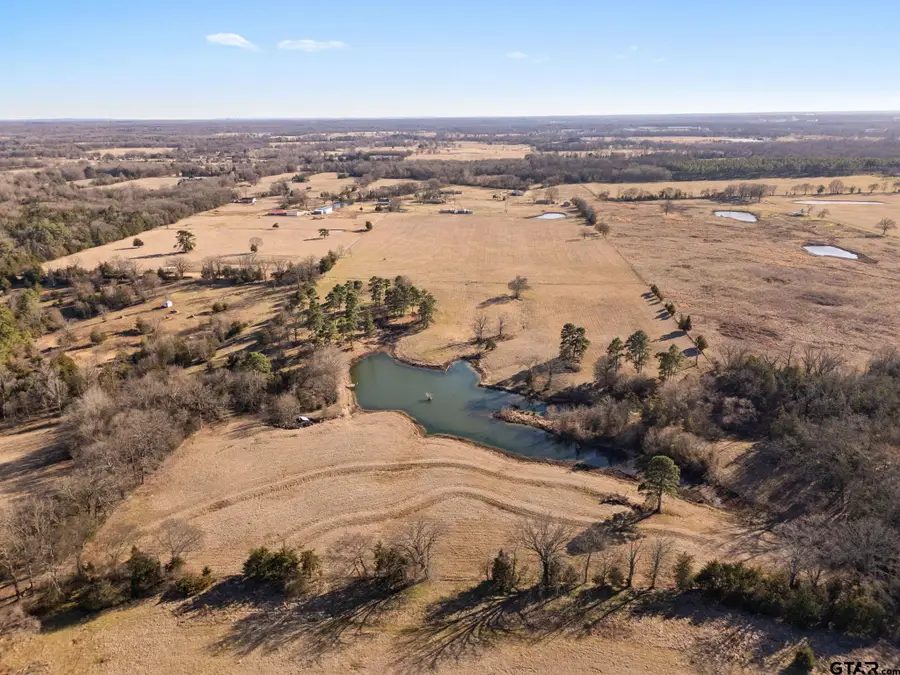 1699 CR 3240 (40 Acres), Mount Pleasant, TX 75455 - #2