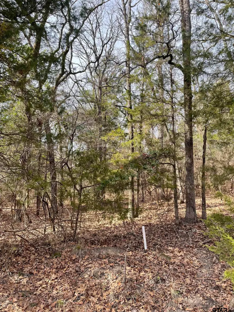 TBD Wildwood, Murchison, TX 75778 - #3