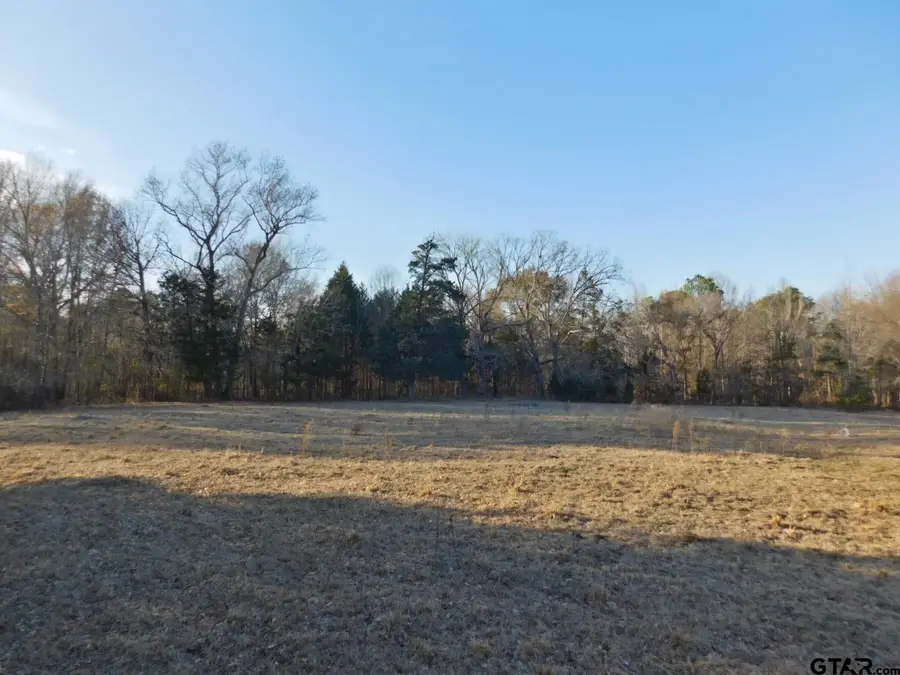 TBD FM 2088, Quitman, TX 75783 - #3