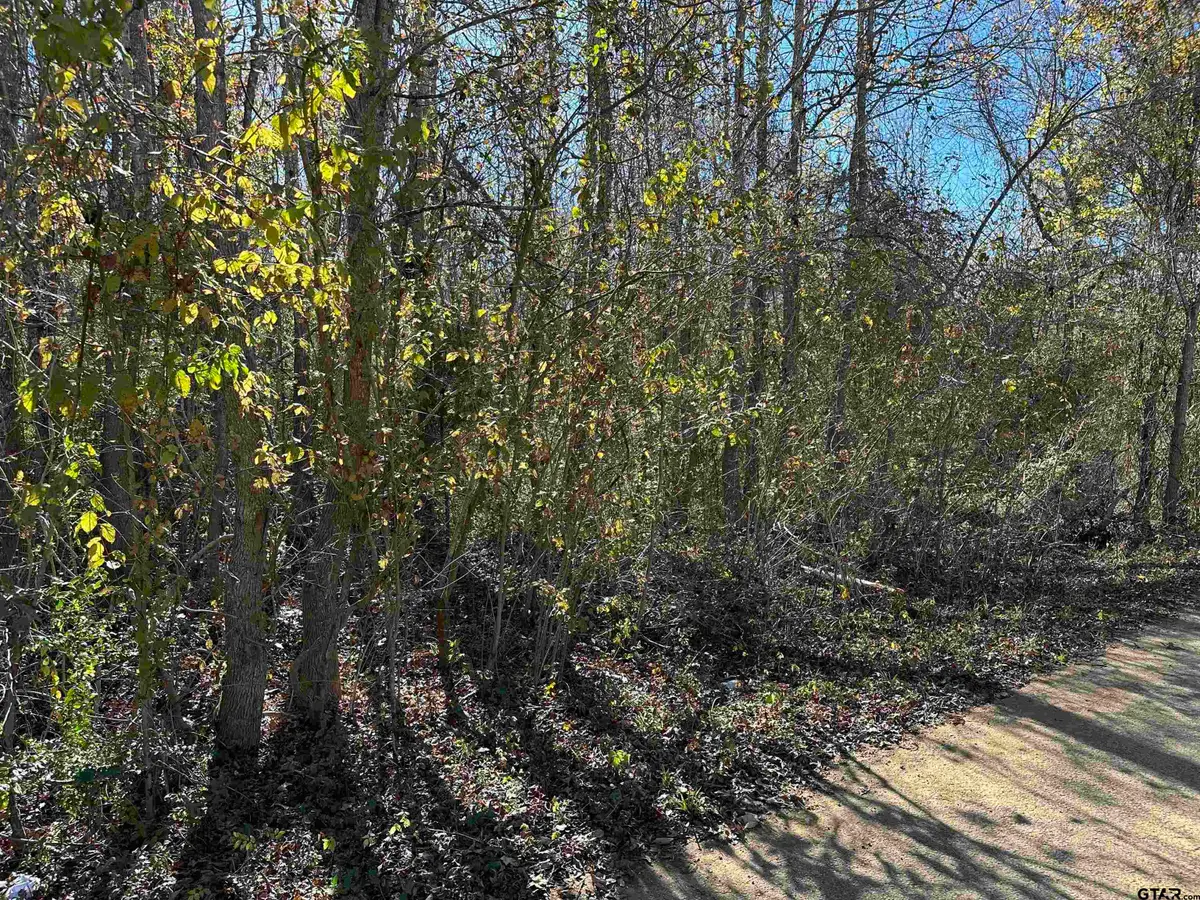 628 Balmorea Drive, Bullard, TX 75757 - #1