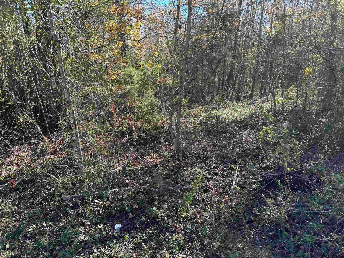 644 Balmorea Drive, Bullard, TX 75757 - #1