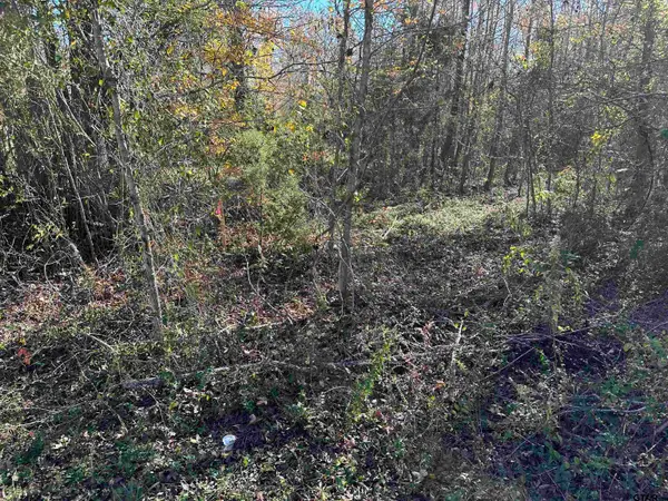 644 Balmorea Drive, Bullard, TX 75757