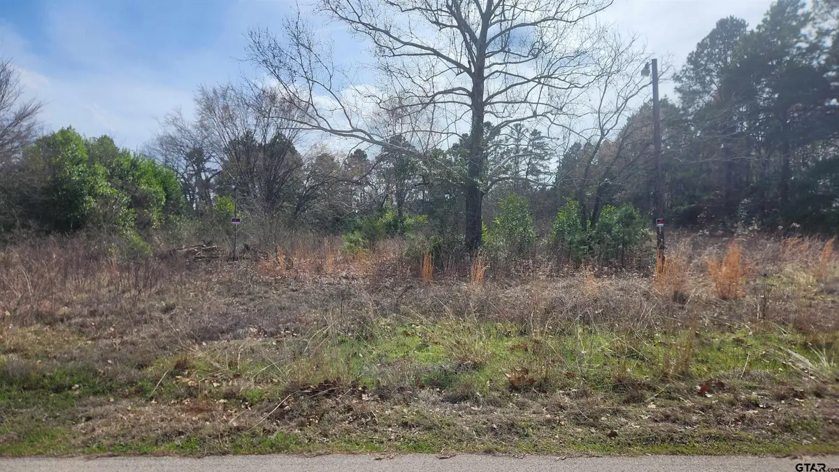 18194 CR 442, Lindale, TX 75771 - #1