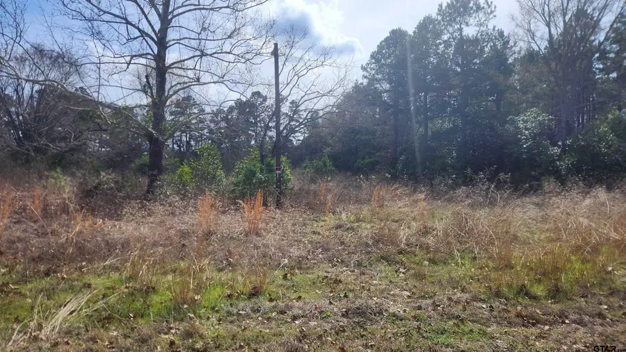 18194 CR 442, Lindale, TX 75771 - #3