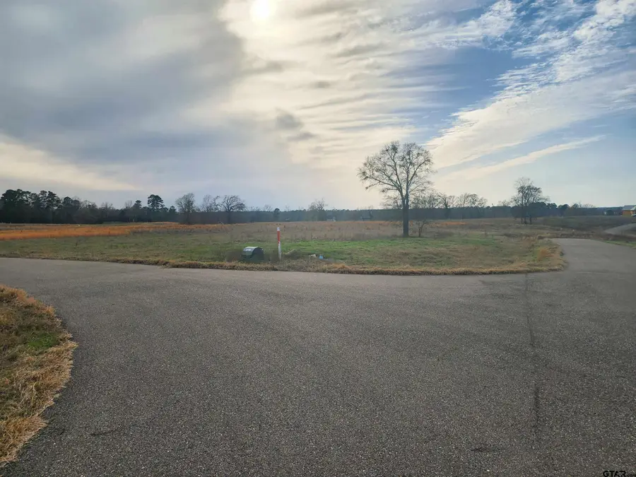 TBD Lot 52 Southshore, Pittsburg, TX 75686 - #2