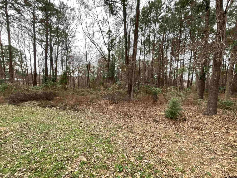 19201 Hwy 110, Whitehouse, TX 75791 - #2