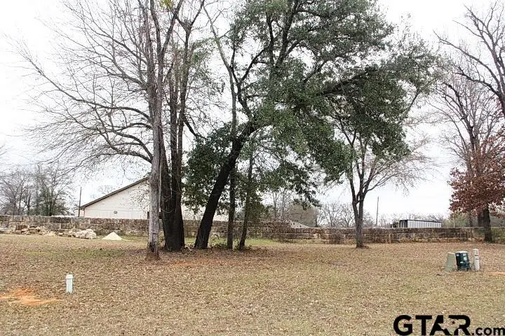 103 Palomita Cove, Athens, TX 75752 - #1