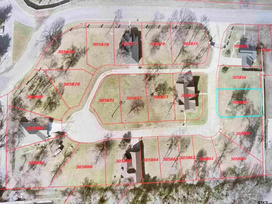 103 Palomita Cove, Athens, TX 75752 - #2