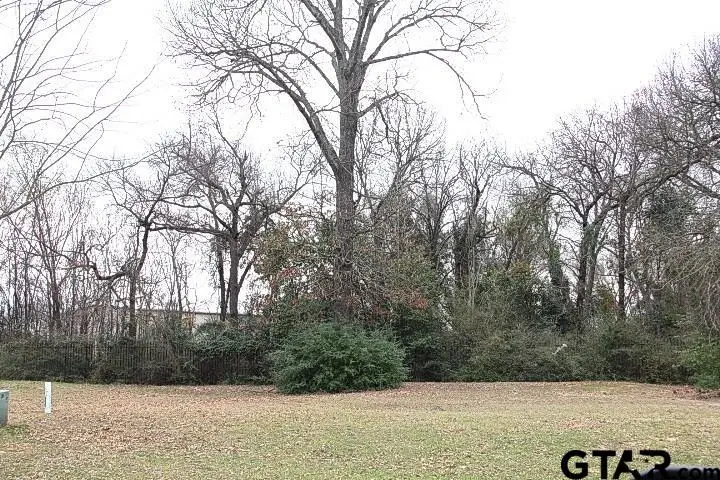 106 Palomita Cove, Athens, TX 75752 - #1