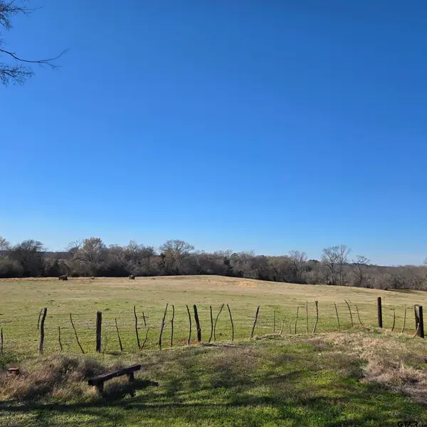 20688 County Road 178, Flint, TX 75762