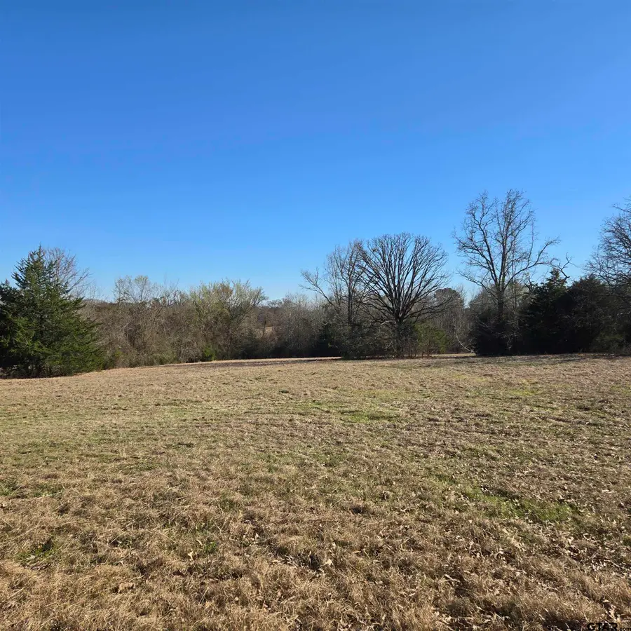 20688 County Road 178, Flint, TX 75762 - #2